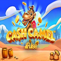 901560_cash_camel