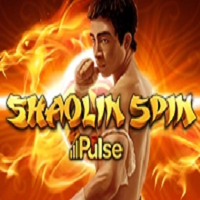 904570_shaolin_spin